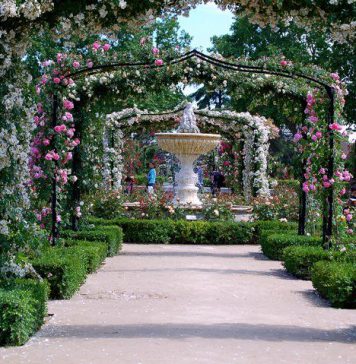 8 Konsep Desain Taman untuk Rumah Terlihat Estetik 8 Konsep Desain Taman untuk Rumah Terlihat Estetik