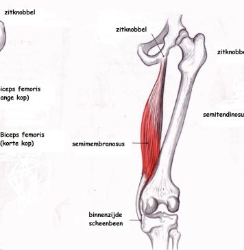 Hamstring and Back Pain Stretches