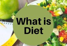 What is Diet Definition?