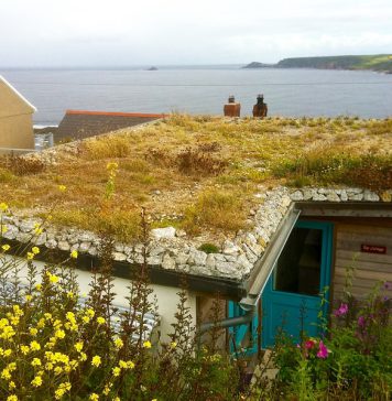 How to Install a Small Green Roof